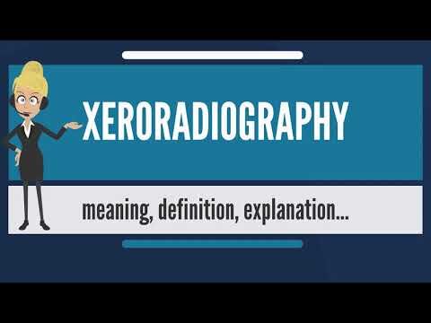 what does the prefix xero mean
