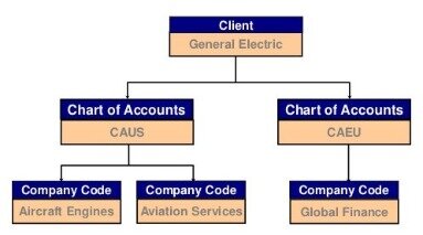 xero chart of accounts template